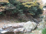 171125101 三波峡谷の秋.jpg