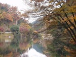 18103009 10日見ぬ間のモミジかな.jpg
