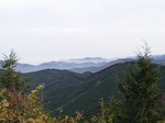 18120703 秩父小川林道管理線.jpg