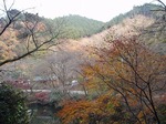 181215160 鎌北湖.jpg