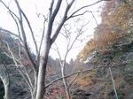 181215164 鎌北湖.jpg