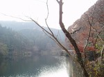 181215165 鎌北湖.jpg