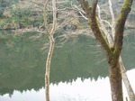 181215167 鎌北湖.jpg