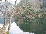 181215168 鎌北湖.jpg