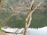 181215170 鎌北湖.jpg