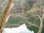 181215172 鎌北湖.jpg