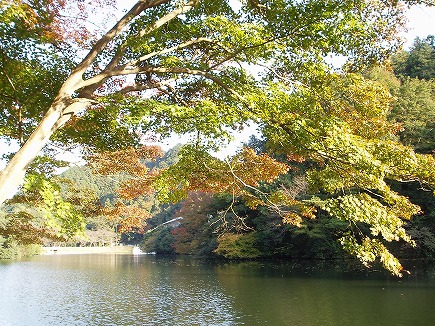 19111577 鎌北湖紅葉.jpg