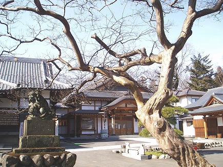 20021151 熊谷文殊寺.jpg