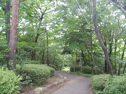 20061711 物見山公園.jpg