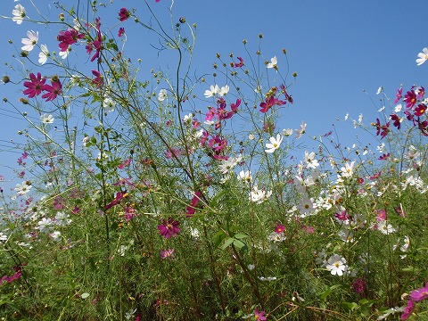 201002-12.jpg