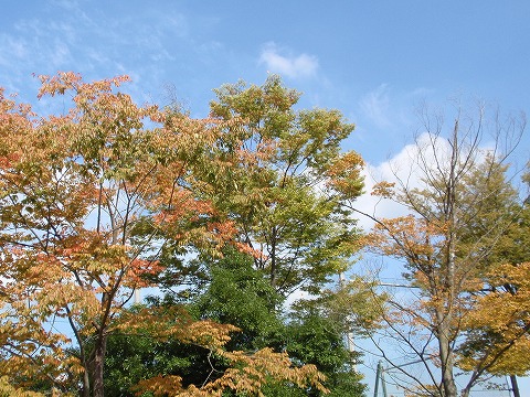 201010-01.jpg