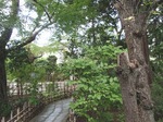 201015-66.jpg
