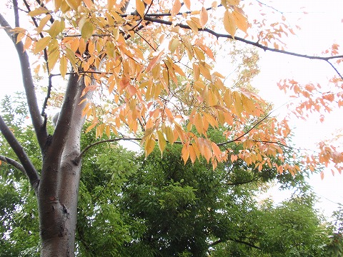 201024-20.jpg