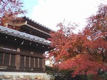 201128-21 能仁寺.jpg