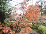 201128-41 能仁寺.jpg