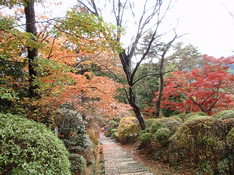 201128-45 飯能市・能仁寺.jpg