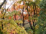 201128-47 能仁寺.jpg