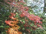 201128-49 能仁寺.jpg