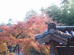 201128-57 能仁寺.jpg