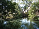 210214-53 星渓園.jpg