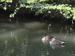 210214-54 星渓園.jpg
