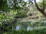 210214-57 星渓園.jpg
