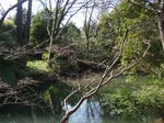 210214-58 星渓園.jpg