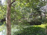 210214-59 星渓園.jpg