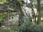 210214-63 星渓園.jpg