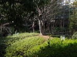 210214-65 星渓園.jpg