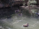 210214-68 星渓園.jpg
