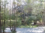 210214-72 星渓園.jpg