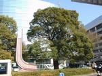 210407-17 所沢東口.jpg