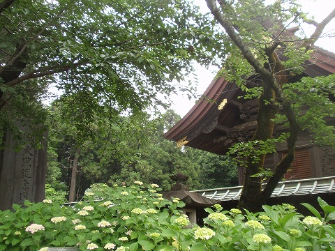 210605-69 箭弓稲荷神社.jpg