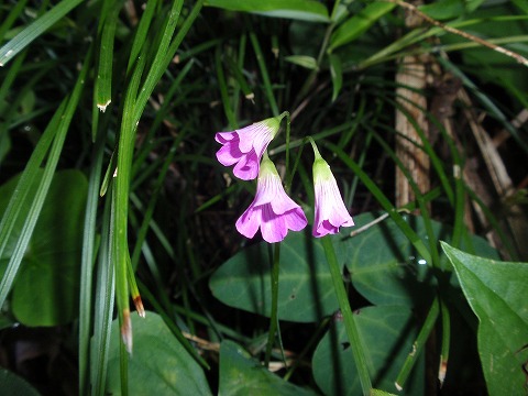 210703-28.jpg