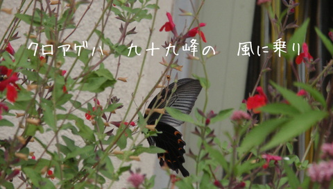 210929-148 見晴らしの丘.jpg