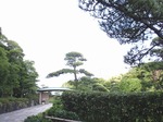 220710-19 見浜園.jpg