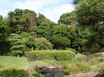 220710-29 見浜園.jpg