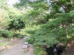 220710-39 見浜園.jpg