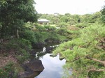 220710-69 見浜園.jpg