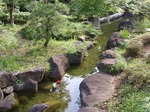 220710-70 見浜園.jpg