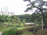 220710-78 見浜園.jpg