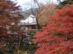 231129-179 御岳渓谷.jpg