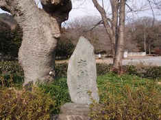 240201-86 庚申塔.jpg