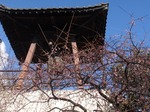 240312-18 西光寺.jpg