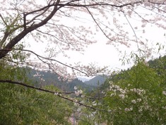 240419-79 帝王切開.jpg