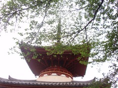 240430-71 喜多院.jpg