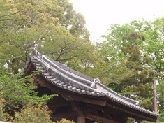 240430-86 喜多院.jpg