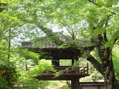 240506-34 中院.jpg