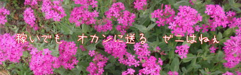 240524-11e.jpg